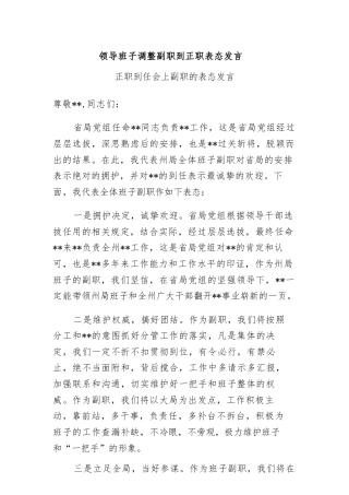 领导班子调整副职到正职表态发言
