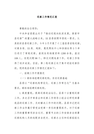 巡察工作情况 汇报