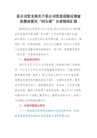 某公司党支部关于某公司党委巡察反馈意见整改落实“回头看”自查情况汇报