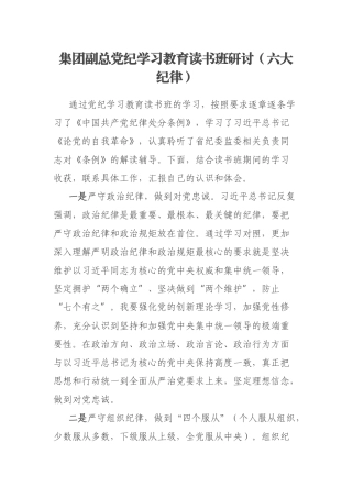 集团副总党纪学习教育读书班研讨（六大纪律）