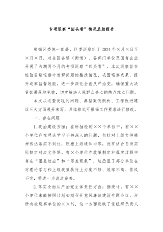 专项巡察“回头看”情况总结报告