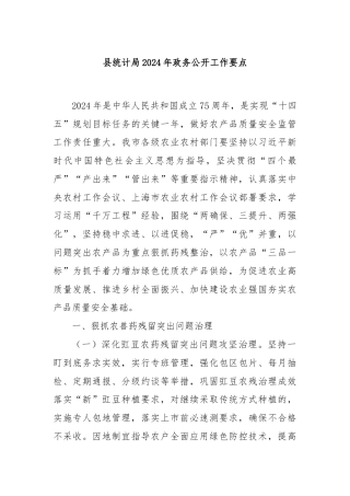 县统计局2024年政务公开工作要点