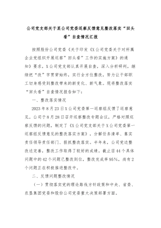 公司党支部关于某公司党委巡察反馈意见整改落实“回头看”自查情况汇报
