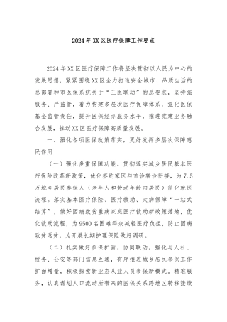 2024年XX区医疗保障工作要点