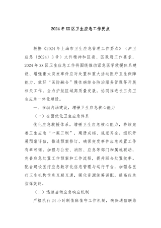 2024年XX区卫生应急工作要点