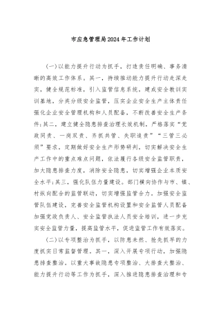 市应急管理局2024年工作计划