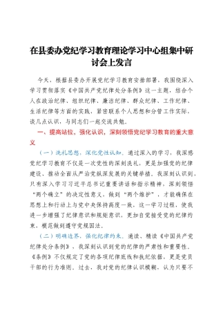 在县委办党纪学习教育理论学习中心组集中研讨会上发言