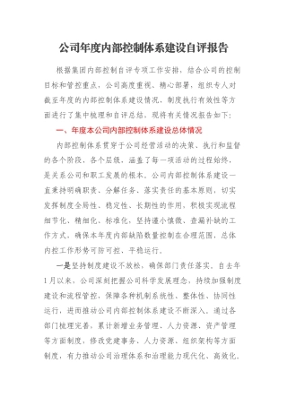 公司年度内部控制体系建设自评报告