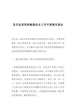 县司法局网络数据安全工作开展情况报告