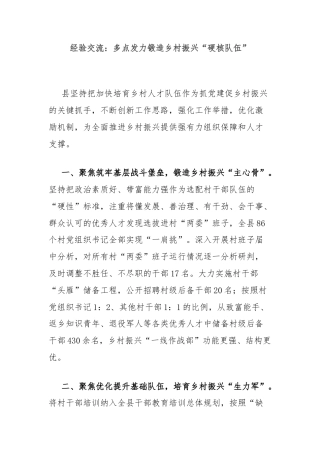 经验交流：多点发力锻造乡村振兴“硬核队伍”
