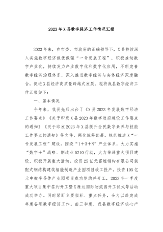 2023年X县数字经济工作情况汇报