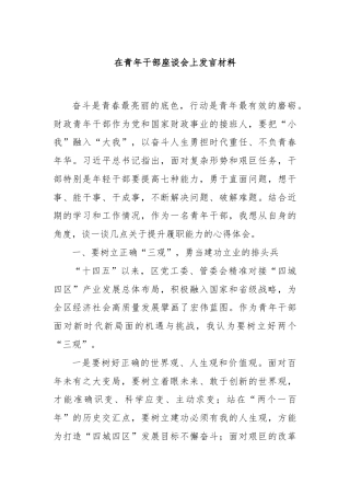 在青年干部座谈会上发言材料