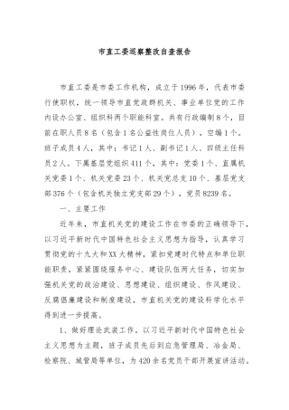 市直工委巡察整改自查报告