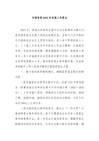 市国资委2024年发展工作要点