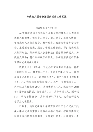 市残疾人联合会党组向巡察工作汇报