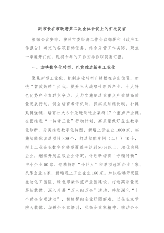 副市长在市政府第二次全体会议上的汇报发言