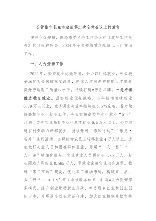 分管副市长在市政府第二次全体会议上的发言
