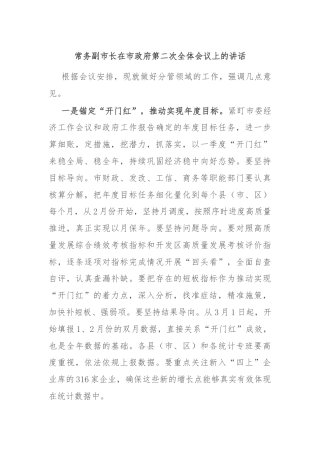 常务副市长在市政府第二次全体会议上的讲话