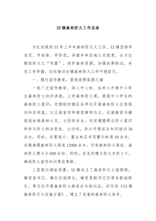 XX镇森林防火工作总结