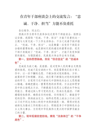 在青年干部座谈会上的交流发言：“忠诚、干净、担当”方能不负重托