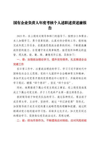 国有企业负责人年度考核个人述职述责述廉报告