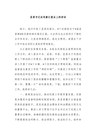 县委书记在巡察汇报会上的讲话
