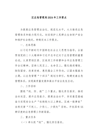 区应急管理局2024年工作要点