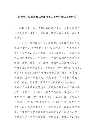 副市长、公安局长在市政府第二次全体会议上的讲话