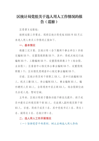 区统计局党组关于选人用人工作情况的报告（巡察）