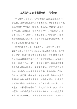 基层党支部主题教育工作案例