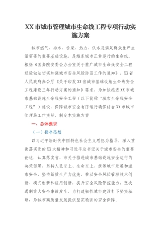 XX市城市管理城市生命线工程专项行动实施方案