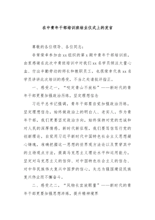 在中青年干部培训班结业仪式上的发言