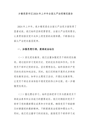 乡镇党委书记2024年上半年全面从严治党情况报告