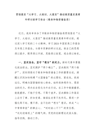 贯彻落实“大学习、大培训、大落实”推动高质量发展青年研讨班学习体会（粮食和物资储备局）