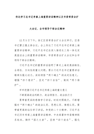 传达学习总书记考察上海重要讲话精神以及市委常委会扩大会议、全市领导干部会议精神