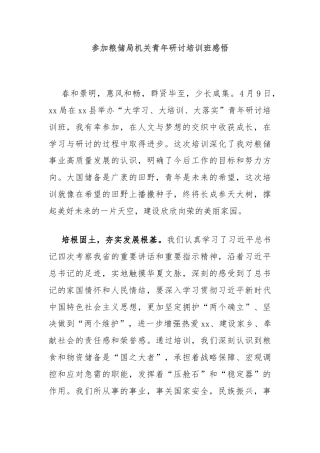 参加粮储局机关青年研讨培训班感悟