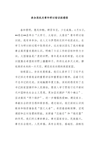 参加局机关青年研讨培训班感悟