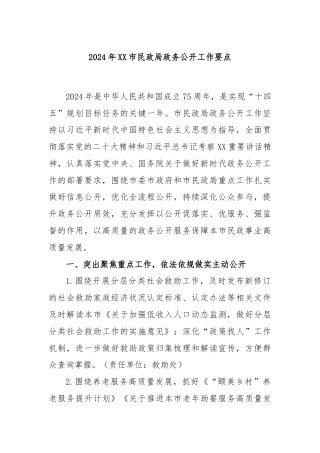 2024年XX市民政局政务公开工作要点