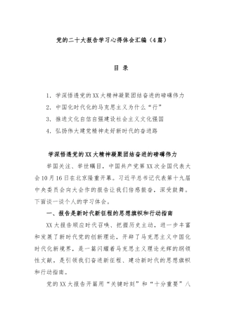 (4篇)党的二十大报告学习心得体会汇编