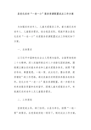 县优化农村“一老一小”服务资源配置试点工作方案