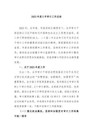 2023年度X市审计工作总结