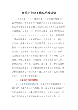 乡镇上半年工作总结及计划