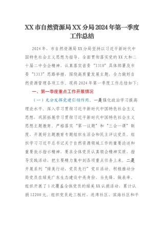 XX市自然资源局XX分局2024年第一季度工作总结