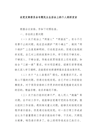 在党支部委员会专题民主生活会上的个人剖析发言