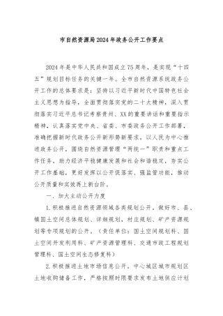市自然资源局2024年政务公开工作要点
