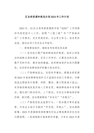区自然资源和规划分局2024年工作计划