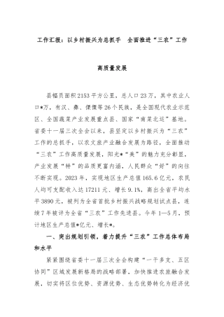 工作汇报：以乡村振兴为总抓手  全面推进“三农”工作高质量发展