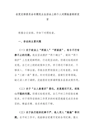 在党支部委员会专题民主生活会上的个人对照检查剖析发言