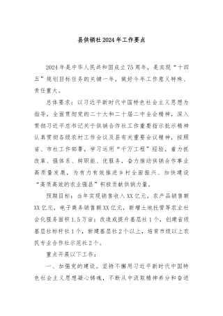 县供销社2024年工作要点