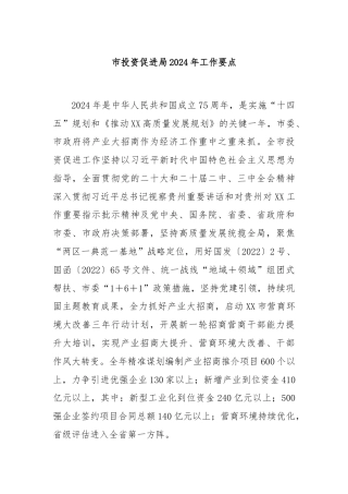 市投资促进局2024年工作要点